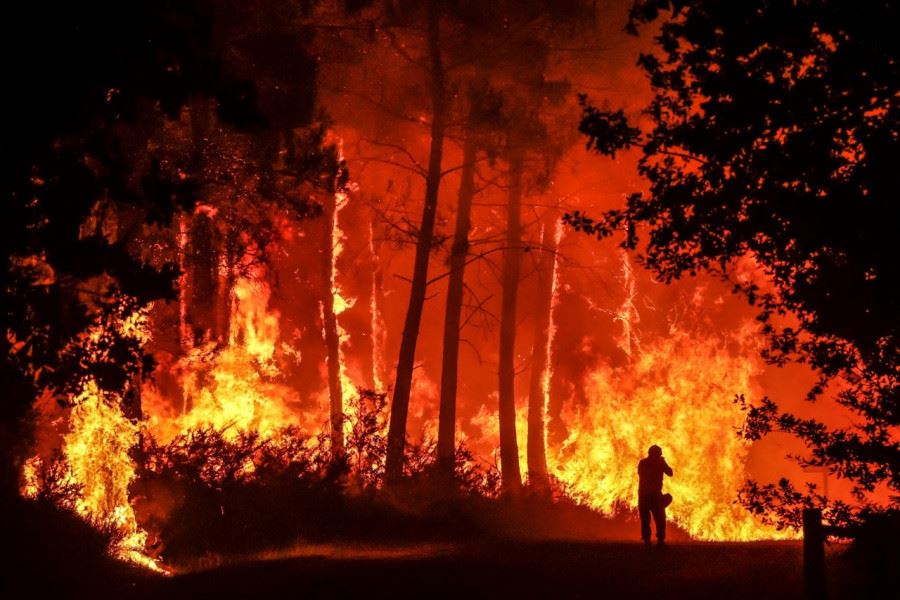 حرائق الغابات تدمر مساحات أكبر بمرتين بسبب التغير المناخي في العالم
