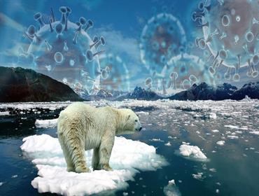 هل يوقظ ذوبان الجليد القطبي فيروسات نائمة؟