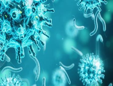 صحوة "فيروس الزومبي" بعد 50 ألف سنة