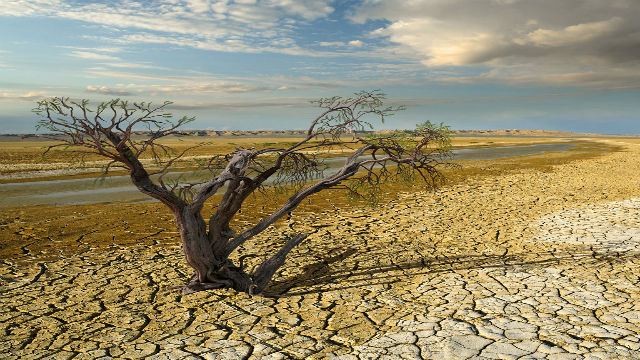 الجفاف الحاد يهدّد منطقة القرن الأفريقي