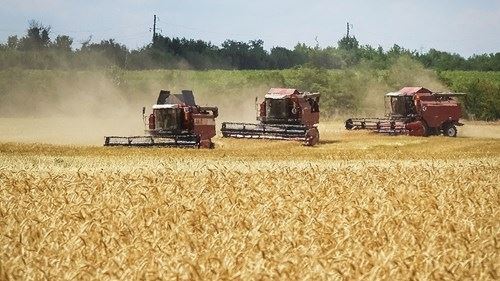 تمديد اتفاقية تصدير الحبوب الأوكرانية تمّ!
