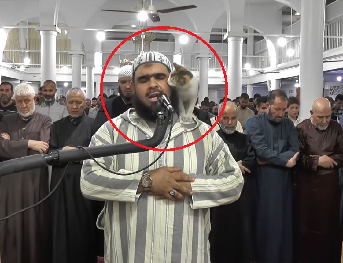 تكريم الإمام الجزائري بعد الفيديو الشهير