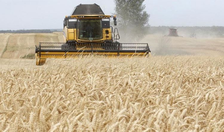 هل تمدد روسيا اتفاق تصدير الحبوب؟
