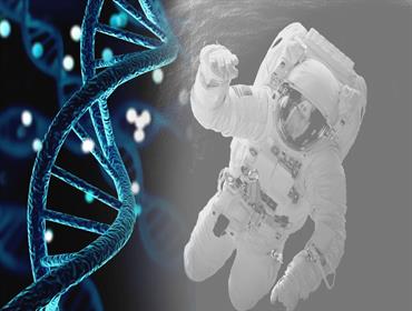 جينات البشر تتغير في الفضاء.. للأفضل أم للأسوأ؟