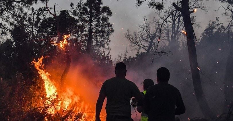 الجزائر: توقيف شخصين للاشتباه بهما في إضرام حرائق غابات