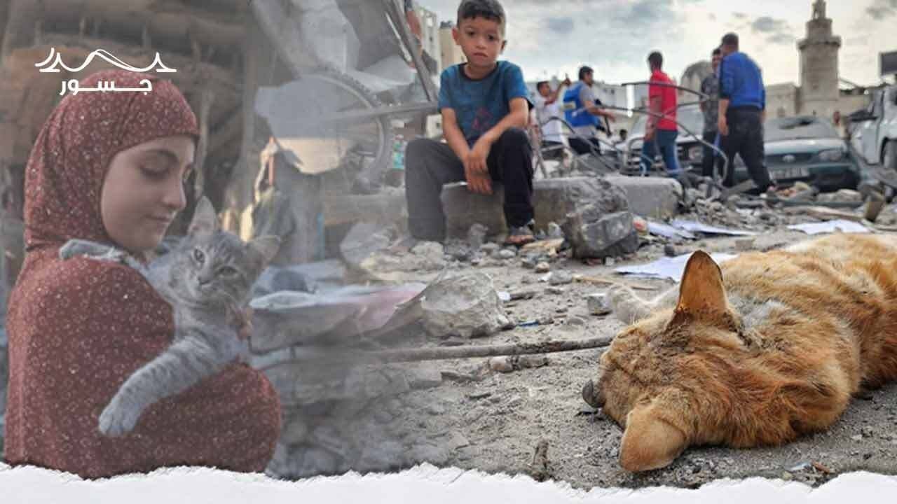 صور حيوانات غزة محاولة لوخز الضمير الذي يرضى بقتل الأطفال