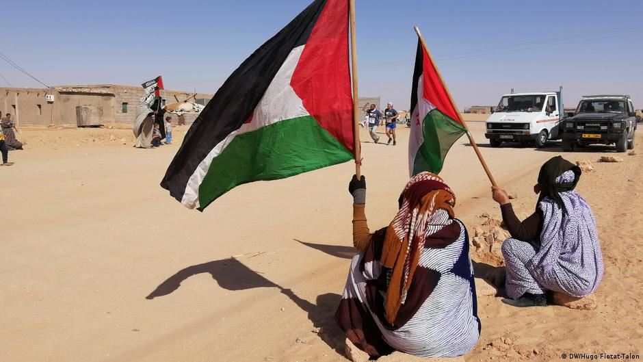 النزاع في الصحراء الغربية إلى واجهة الأحداث من جديد ... والسبب؟
