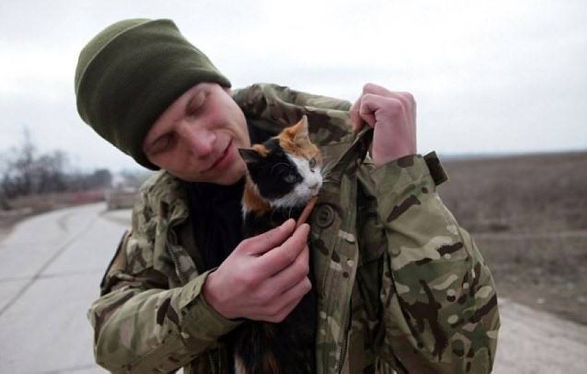 على جبهات القتال.. هررة وكلاب تؤنس الجنود الأوكرانيين