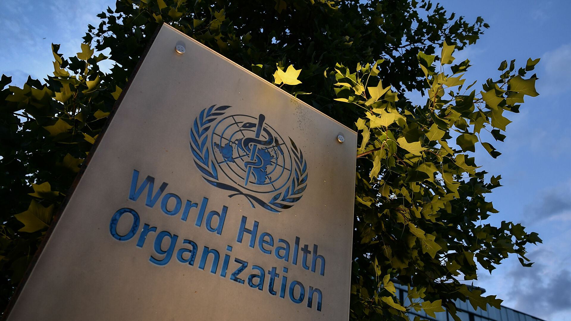 "الصحة العالمية" توصي أوكرانيا بتدمير الجراثيم الخطيرة!