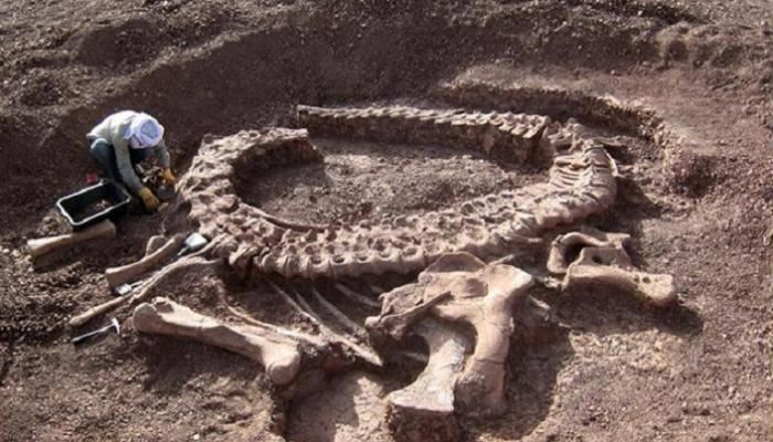 اكتشاف حفريات لديناصورات ضخمة آكلة للحوم في مصر 